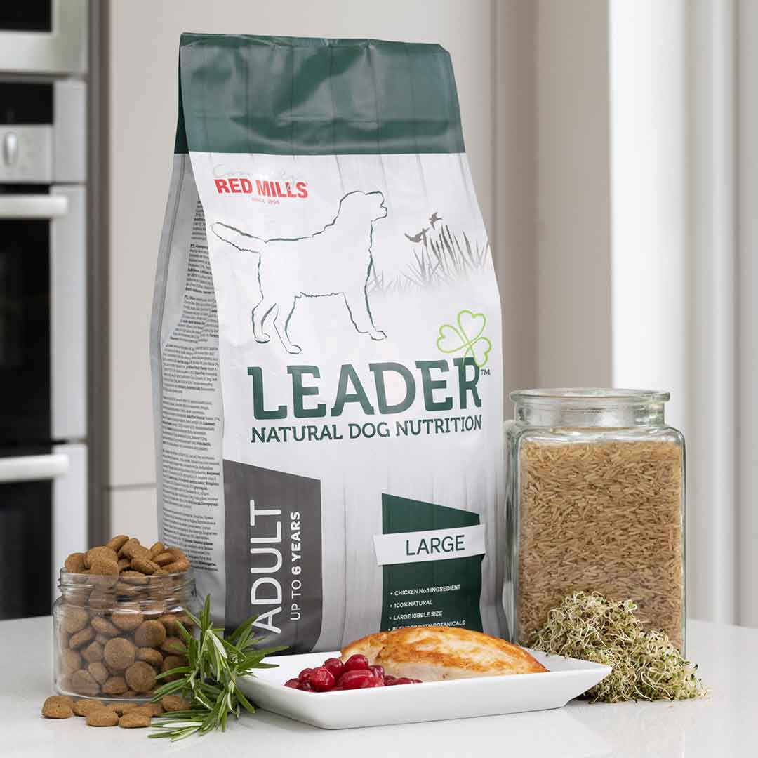Red Mills Leader Chicken Dry Dog Food for Large Breed Adult Dogs, 12kg