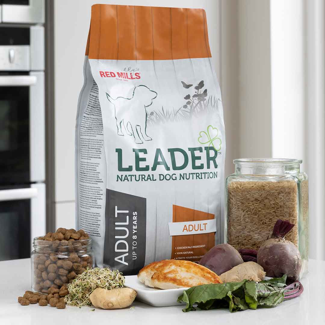 Red Mills Leader Chicken Dry Dog Food for Medium Breed Adult Dogs