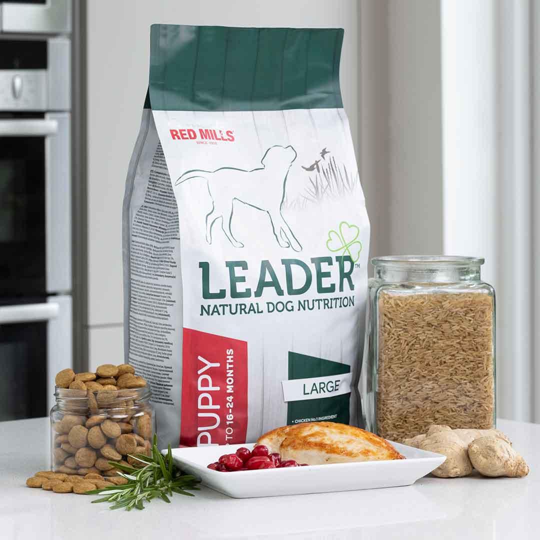 Red Mills Leader Chicken Dry Dog Food for Large Breed Puppies, 12kg