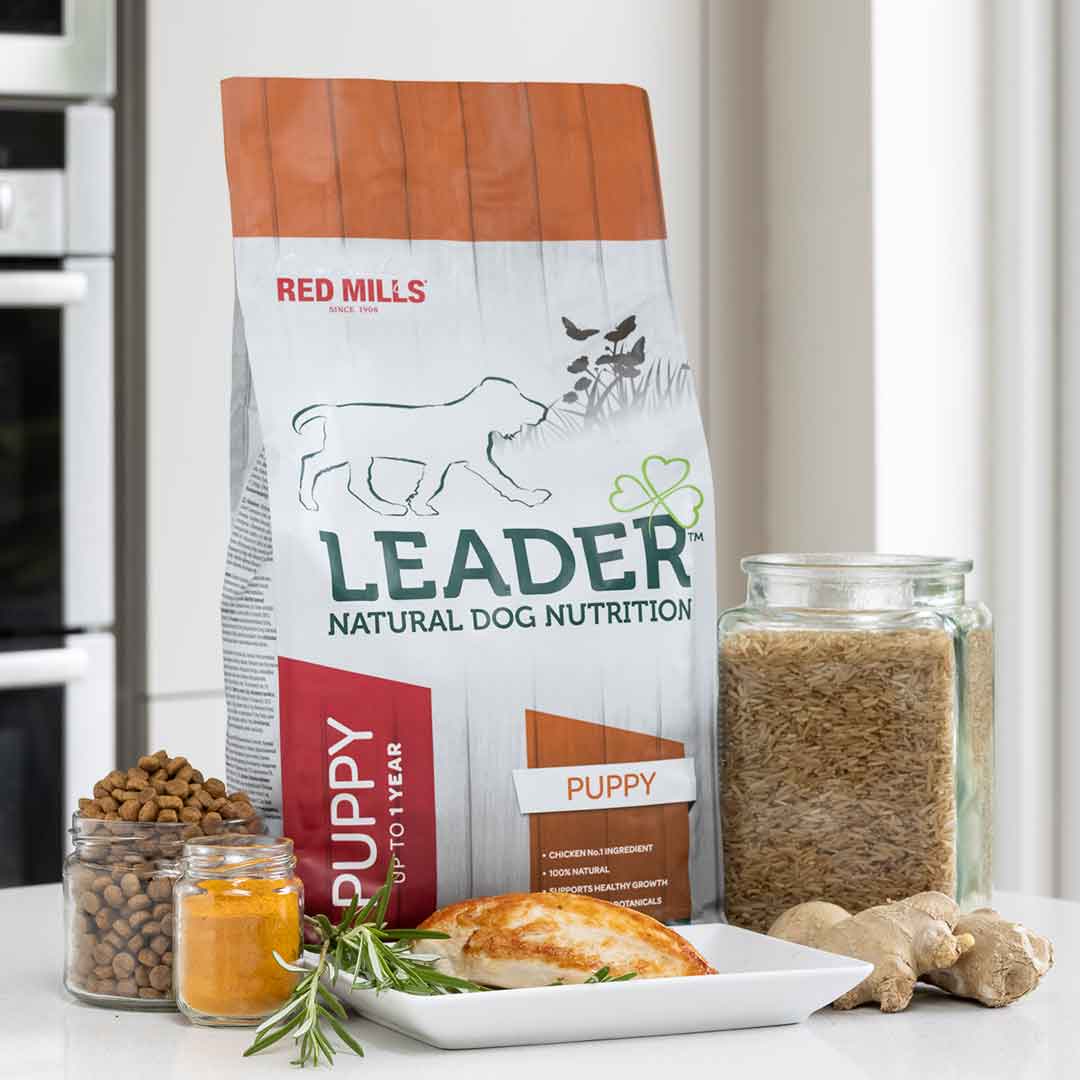 Red Mills Leader Chicken Dry Dog Food for Medium Breed Puppies