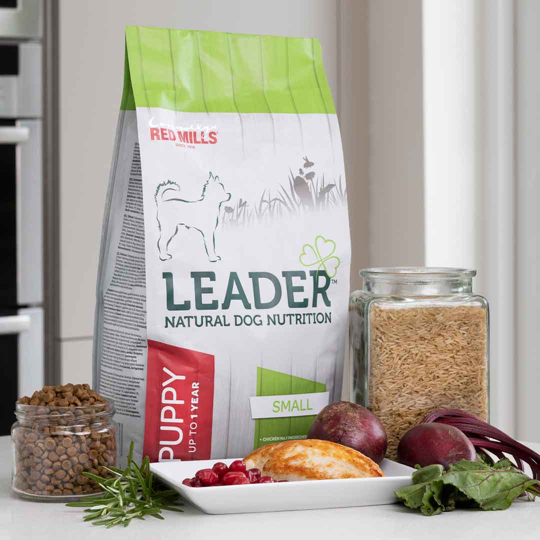 Red Mills Leader Chicken Dry Dog Food for Small Breed Puppies
