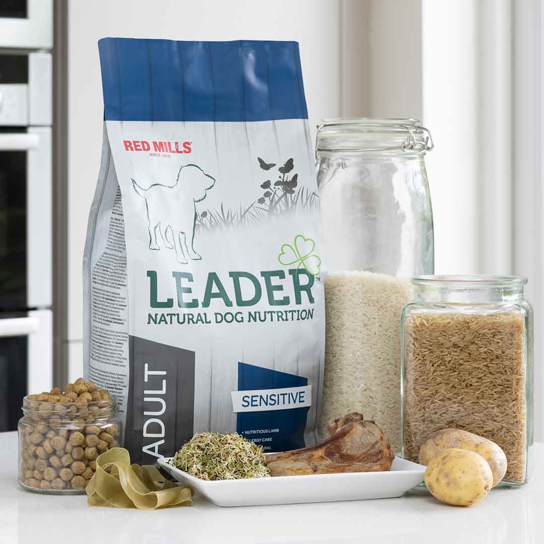 Red Mills Leader Sensitive Lamb Dry Dog Food for Medium Breed Adult Dogs