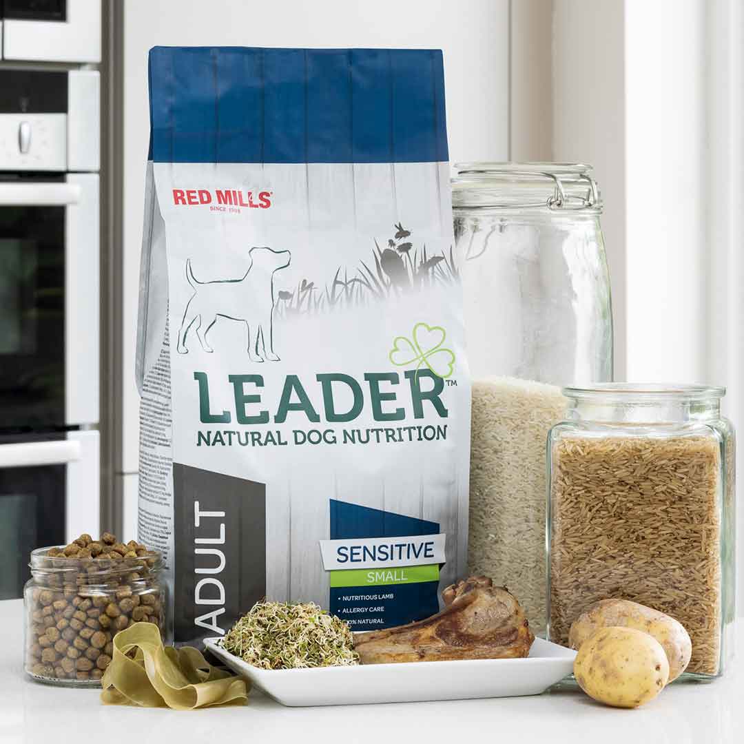 Red Mills Leader Sensitive Lamb Dry Dog Food for Small Breed Adult Dogs, 2kg