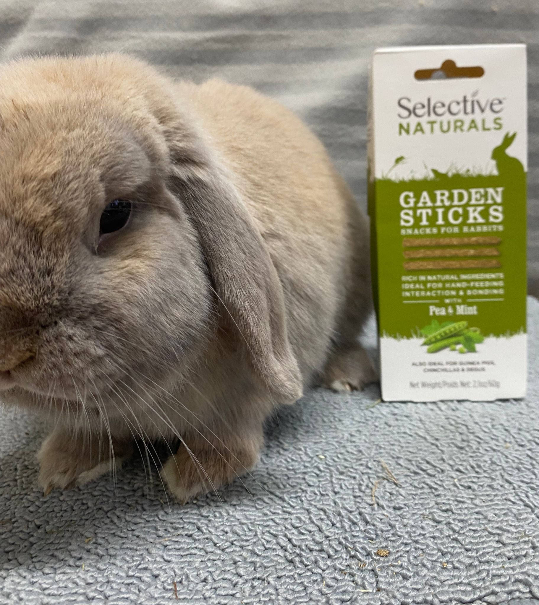 Selective Naturals Garden Sticks with Pea and Mint Rabbit Treats, 60g