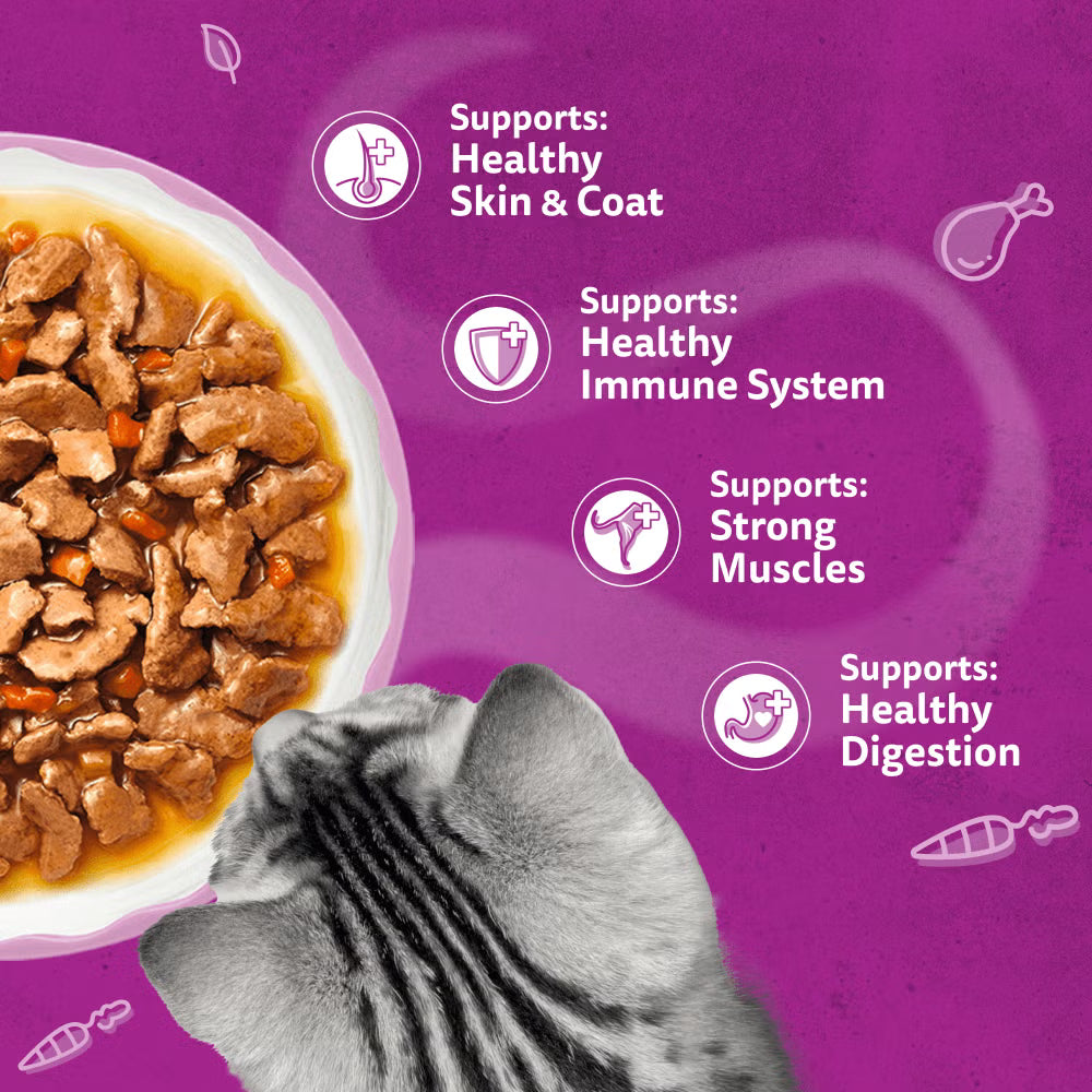 Whiskas Aromatic Fragrant Fusions in Gravy Wet Cat Food for Adult Cats, 40 x 85g