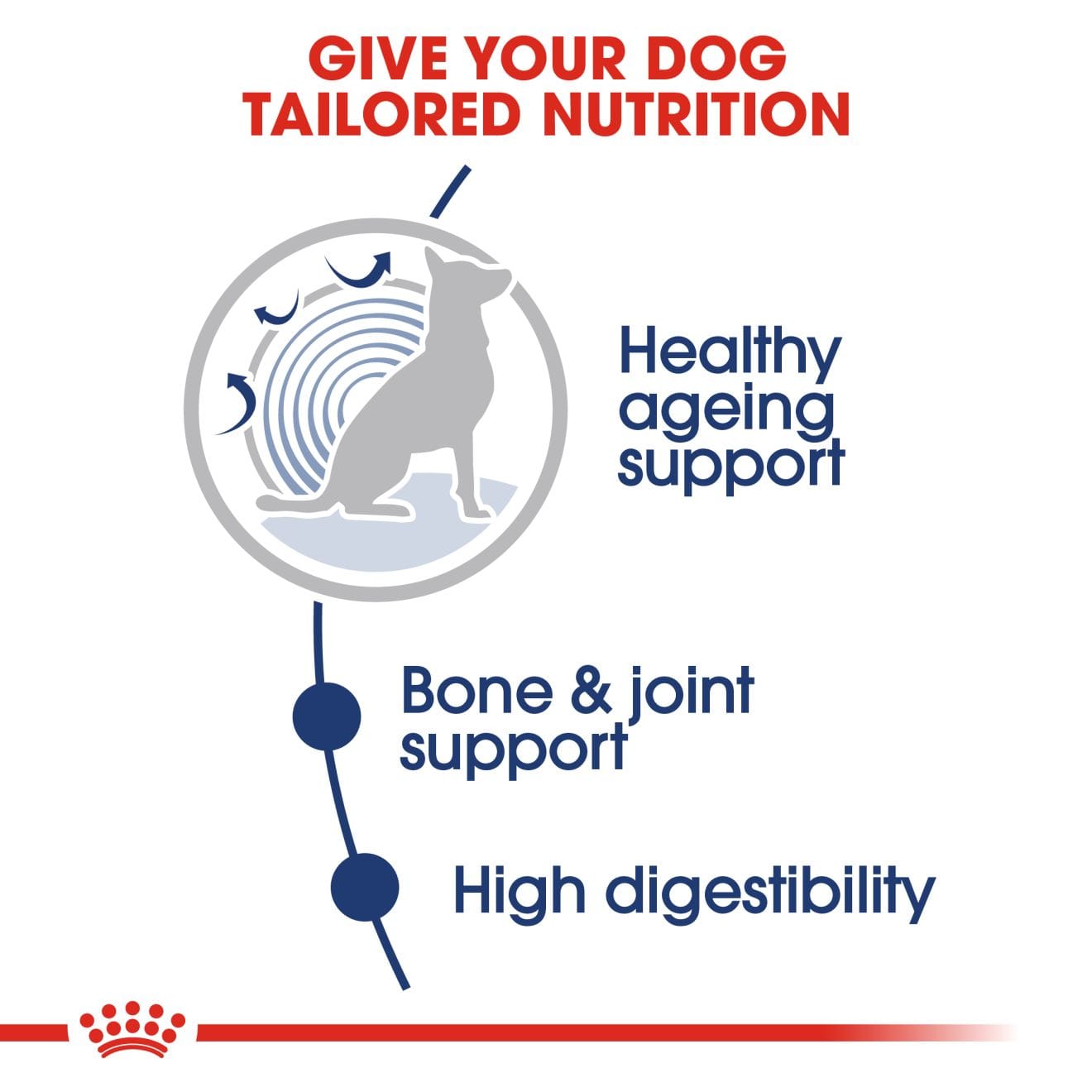 Royal Canin Ageing 8+ Wet Dog Food Chunks In Gravy for Large Breed Senior Dogs, 140g