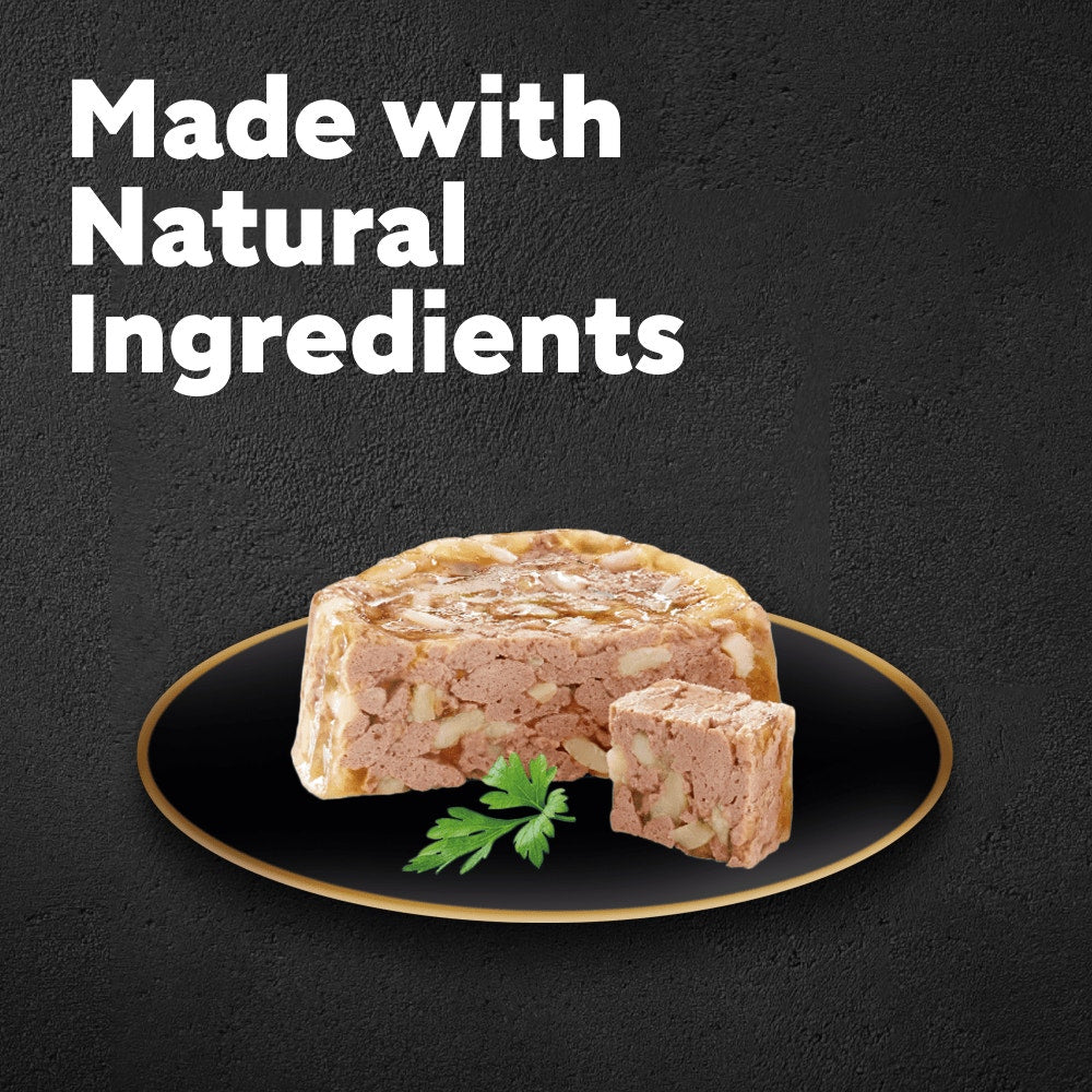 Cesar Meat in Delicate Jelly Wet Dog Food for Senior Dogs, 8 x 150g