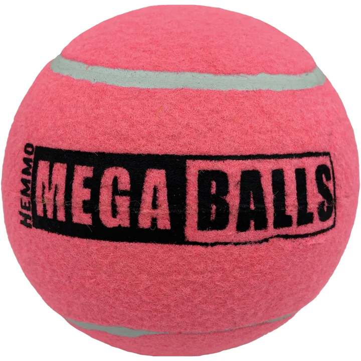 Dog & Co 4.0" Mega Ball Dog Toy