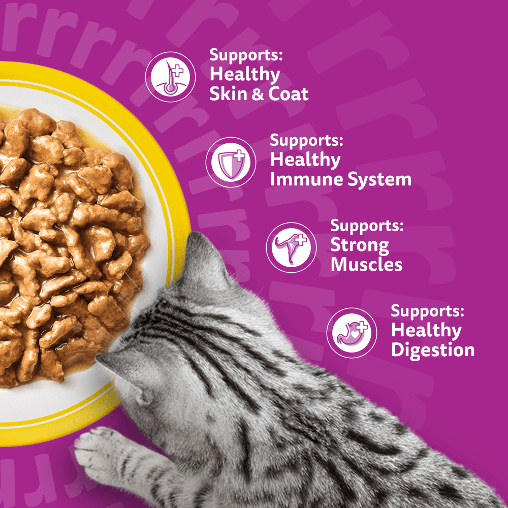 Whiskas Poultry Feasts in Gravy Wet Cat Food for Adult Cats