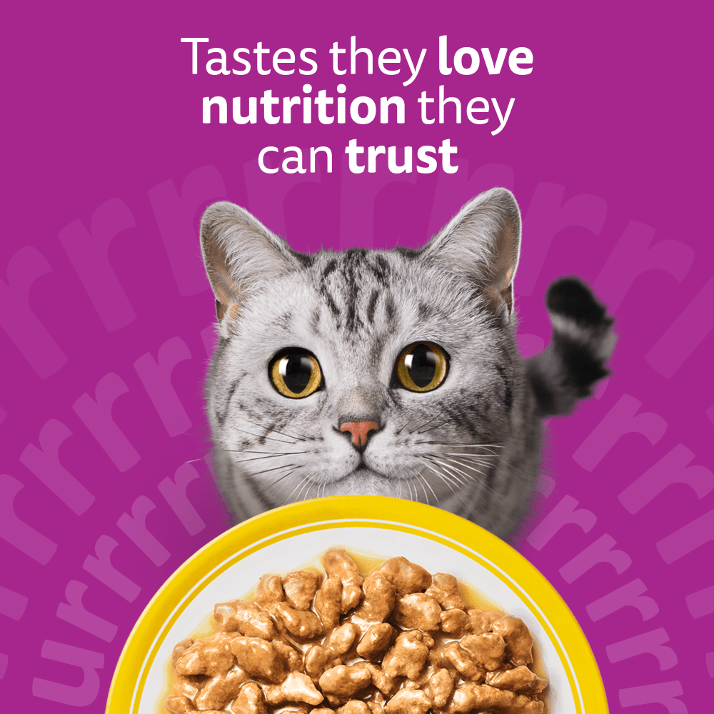 Whiskas Poultry Feasts in Gravy Wet Cat Food for Adult Cats