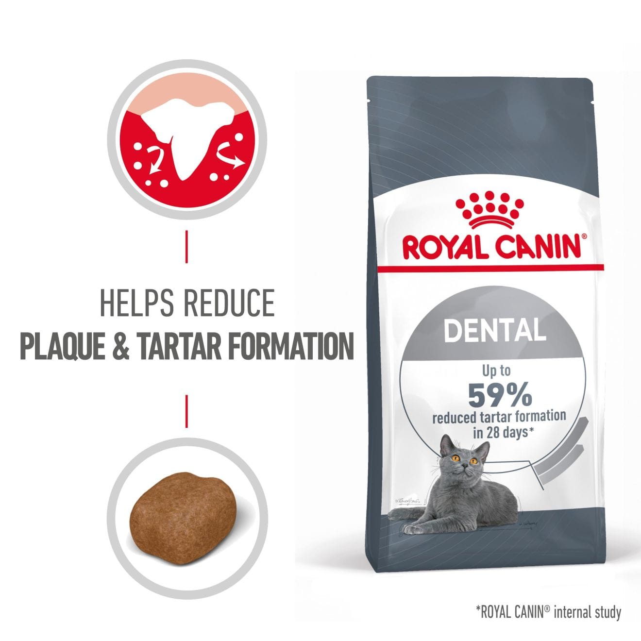 Royal Canin Dental Care Dry Cat Food for Adult Cats, 1.5kg