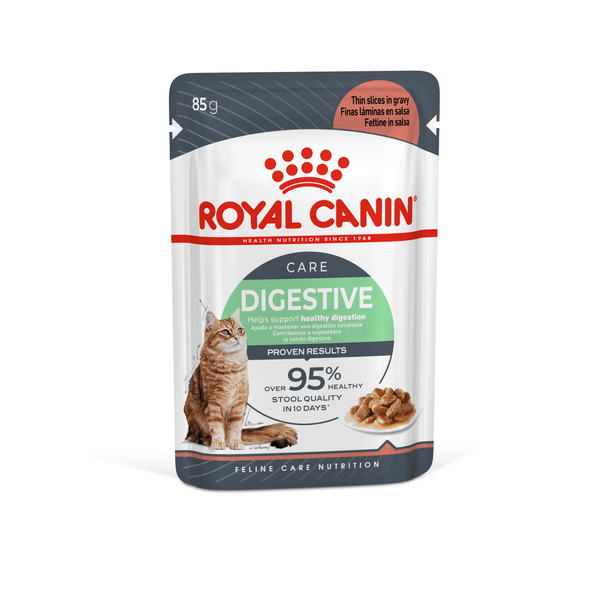Royal Canin Digestive Care Wet Cat Food Thin Slices In Gravy for Adult Cats, 85g
