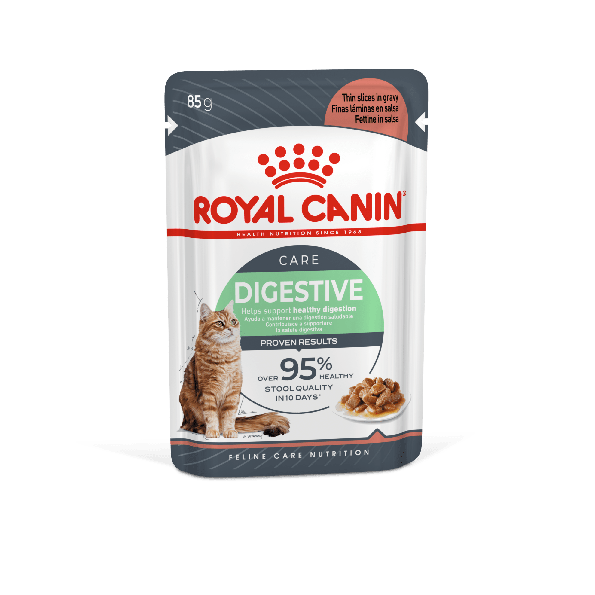 Royal Canin Digestive Care Wet Cat Food Thin Slices In Gravy for Adult Cats, 85g