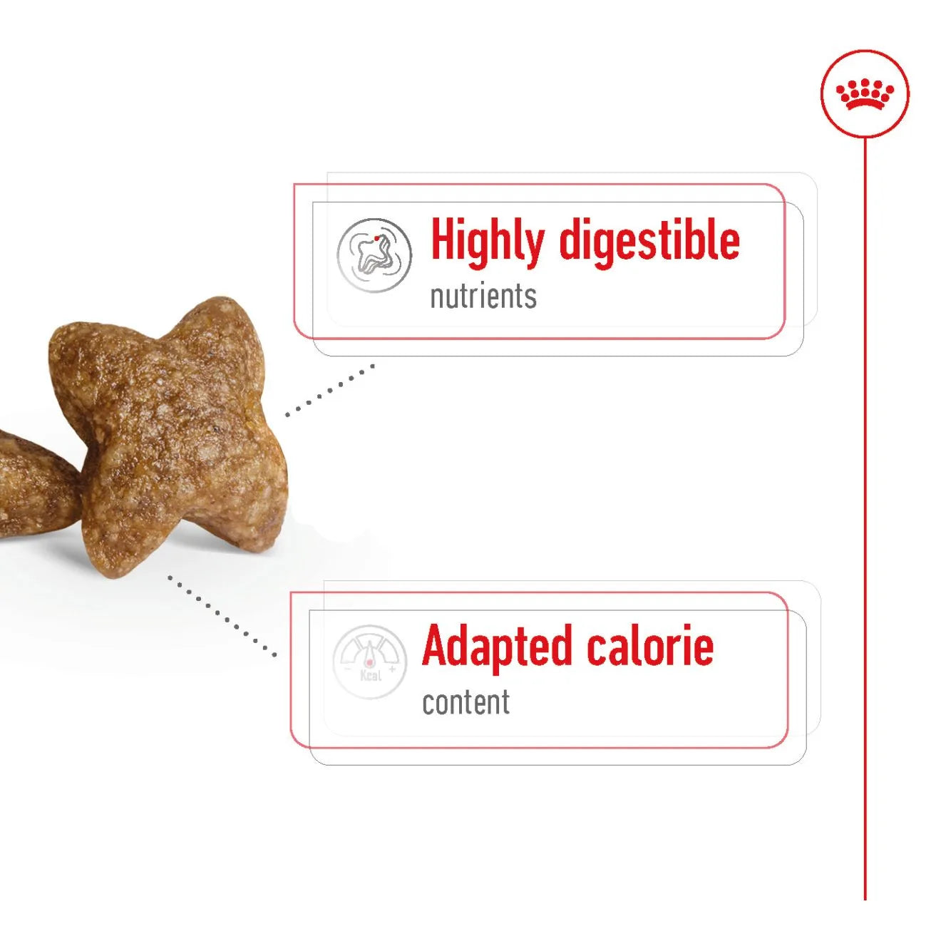 Royal Canin Dry Dog Food for Small Breed Adult Dogs