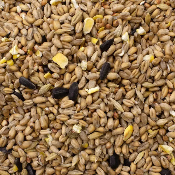 Hadley Wild Bird Seed Mix