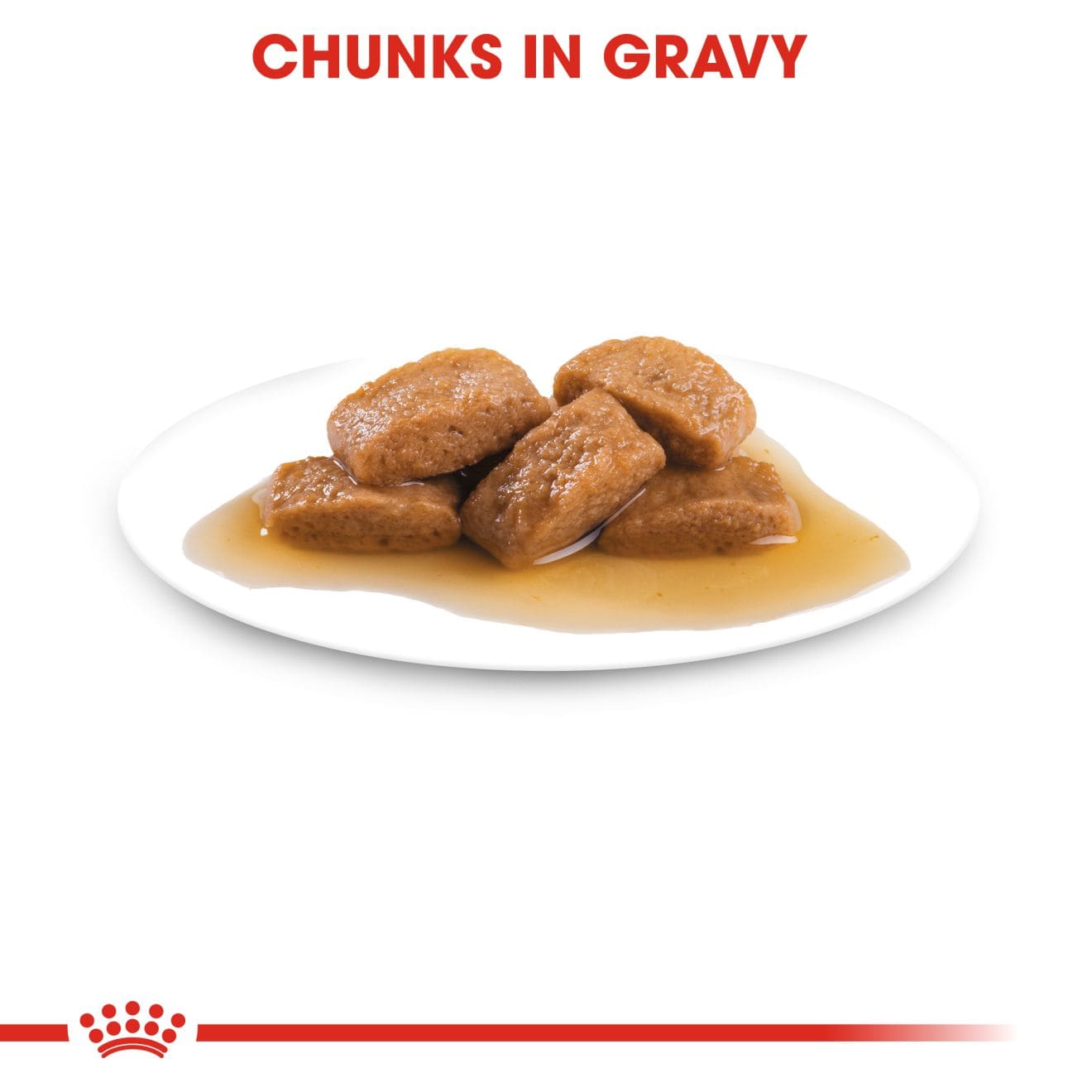 Royal Canin Ageing 8+ Wet Dog Food Chunks In Gravy for Large Breed Senior Dogs, 140g