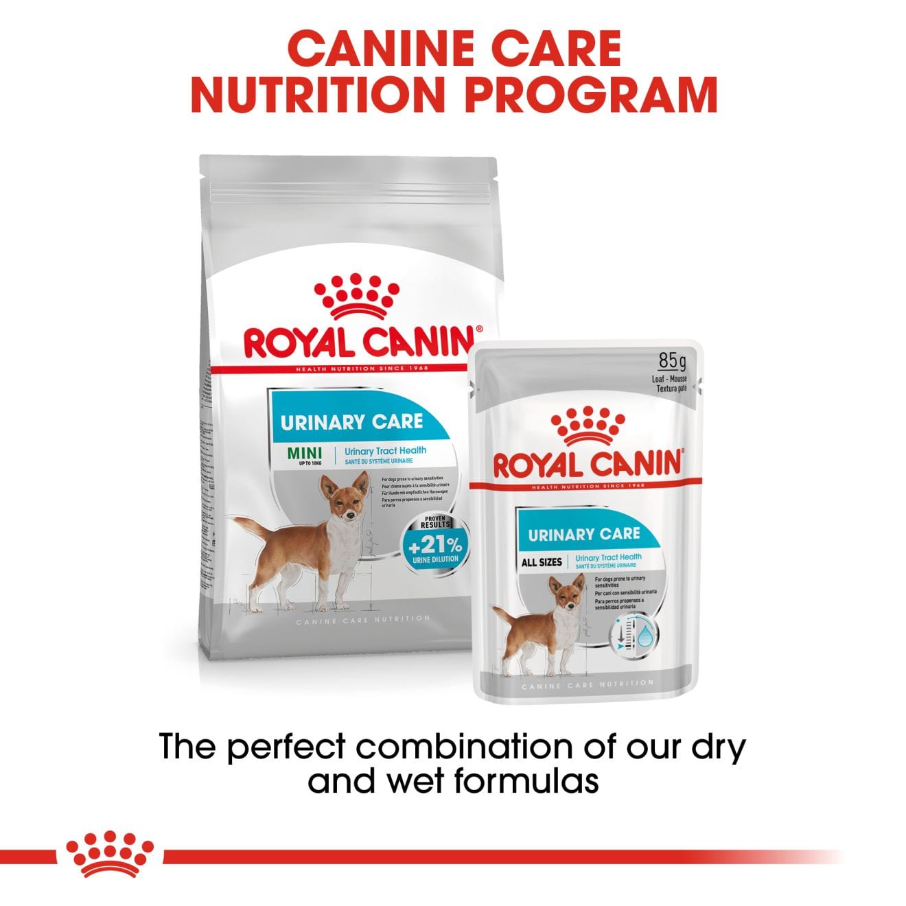 Royal Canin Urinary Care Wet Dog Food Loaf in Sauce for Adult Dogs, 85g