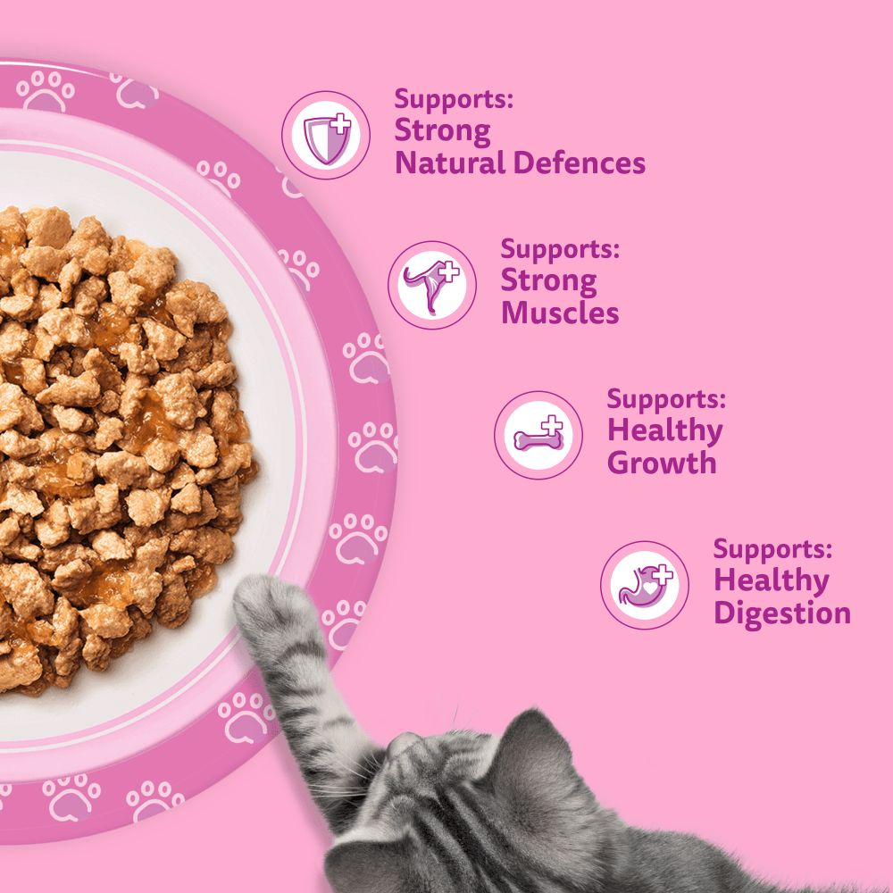 Whiskas Poultry Feasts in Jelly Wet Cat Food for Kittens, 12 x 85g