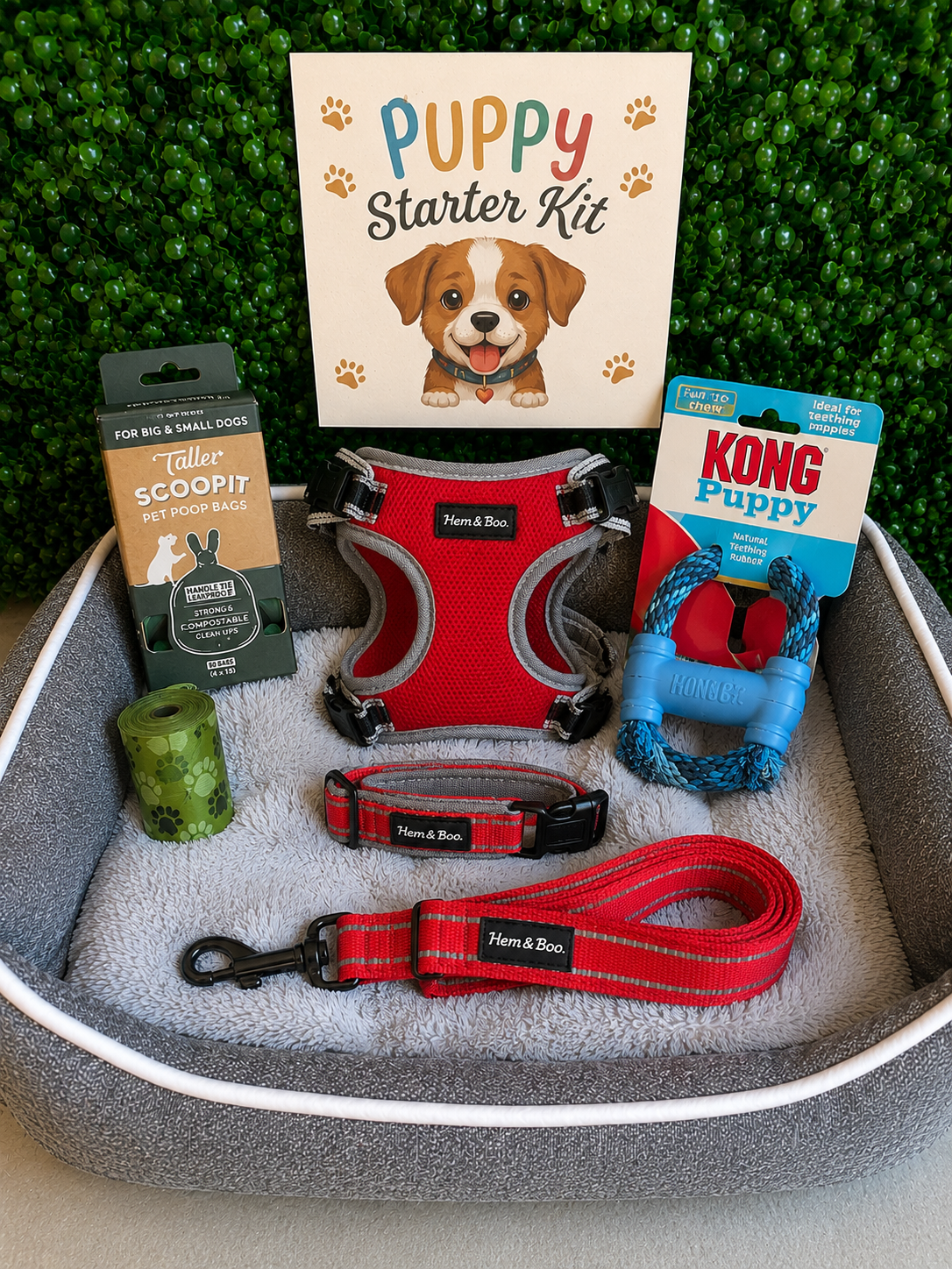 Puppy Accessories Kit