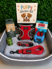 Puppy Accessories Kit