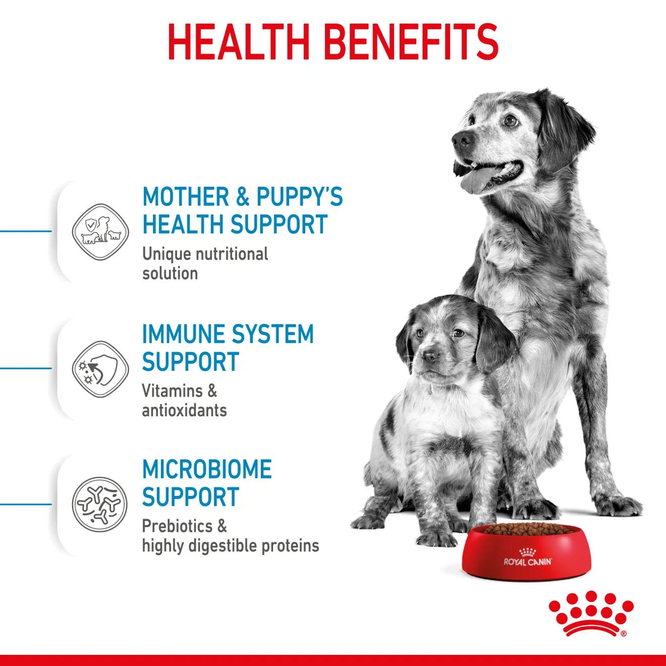 Royal Canin Starter Dry Dog Food for Medium Breed Mother & Babydog