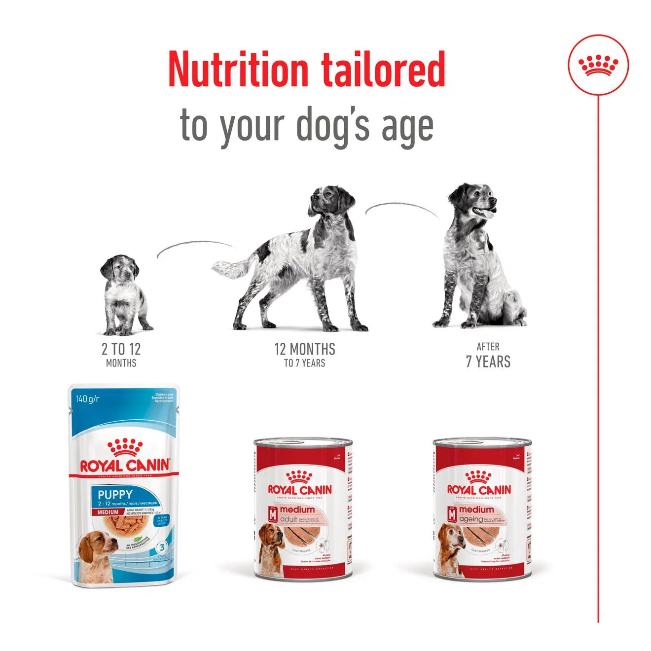 Royal Canin Wet Dog Food in Loaf for Medium Breed Adult Dogs, 410g