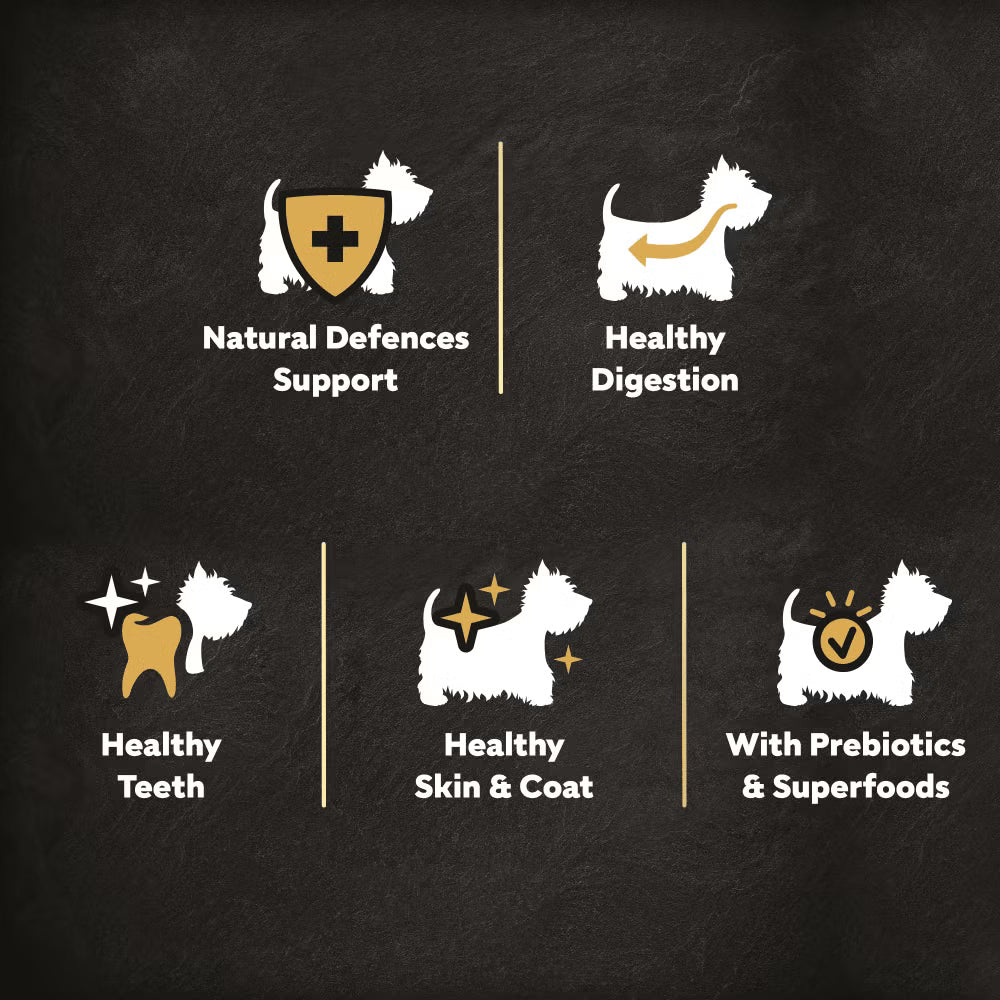 Cesar Fresh Chicken & Salmon, Rice & Vegetables Dry Dog Food for Adult Dogs, 1.4kg