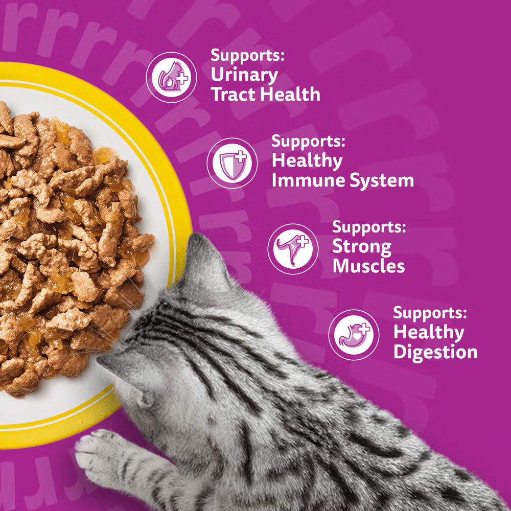 Whiskas 7+ Poultry Feasts in Jelly Wet Cat Food for Senior Cats