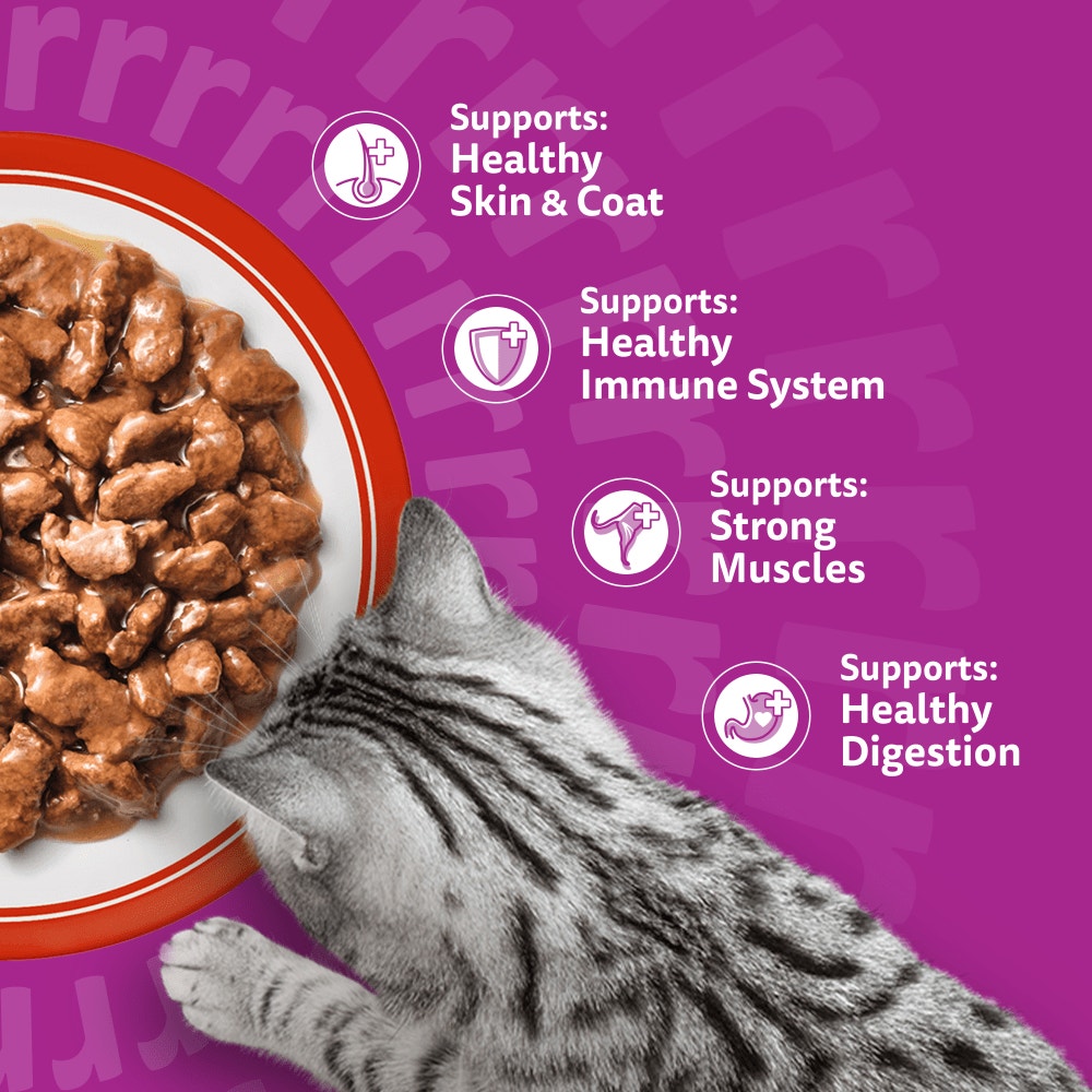 Whiskas Meaty Meals in Gravy Wet Cat Food for Adult Cats