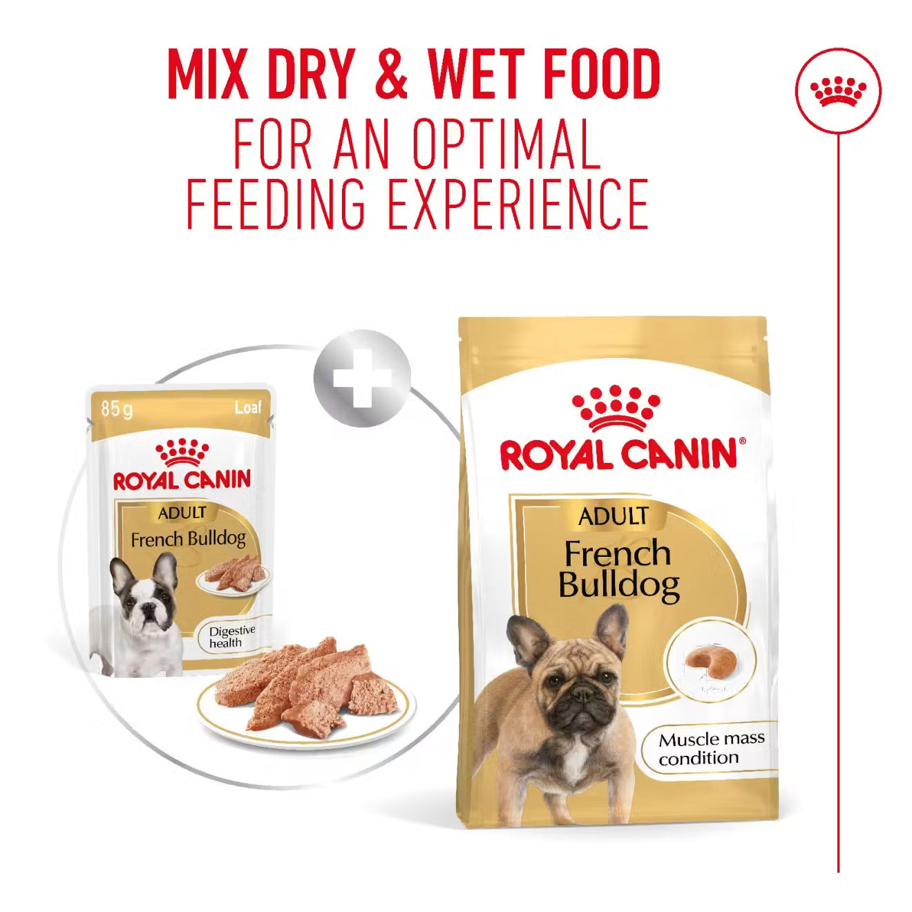 Royal Canin Wet Dog Food in Loaf for Adult French Bulldogs, 85g