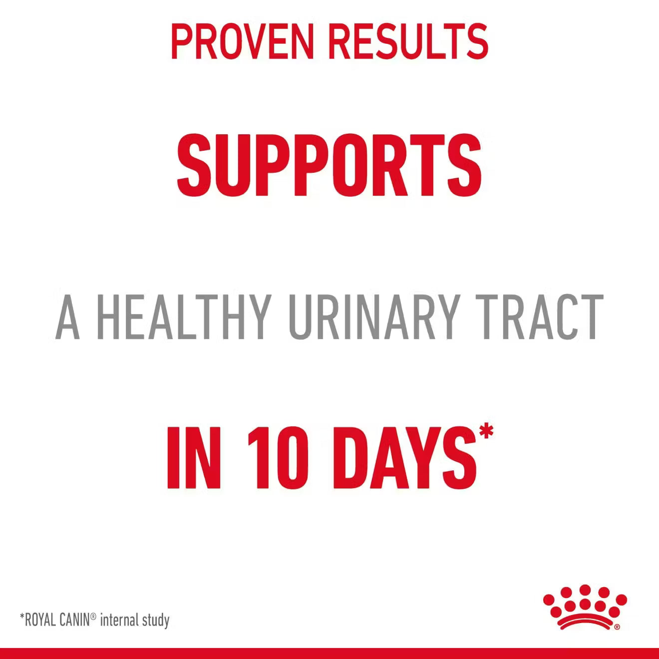 Royal Canin Urinary Care Wet Cat Food Thin Slices in Jelly for Adult Cats, 85g