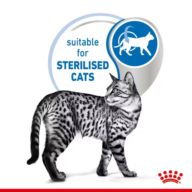 Royal Canin Indoor Sterilised Wet Cat Food Morsels in Gravy Cat for Adult Cats, 85g