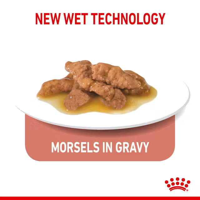 Royal Canin Indoor Sterilised Wet Cat Food Morsels in Gravy Cat for Adult Cats, 85g