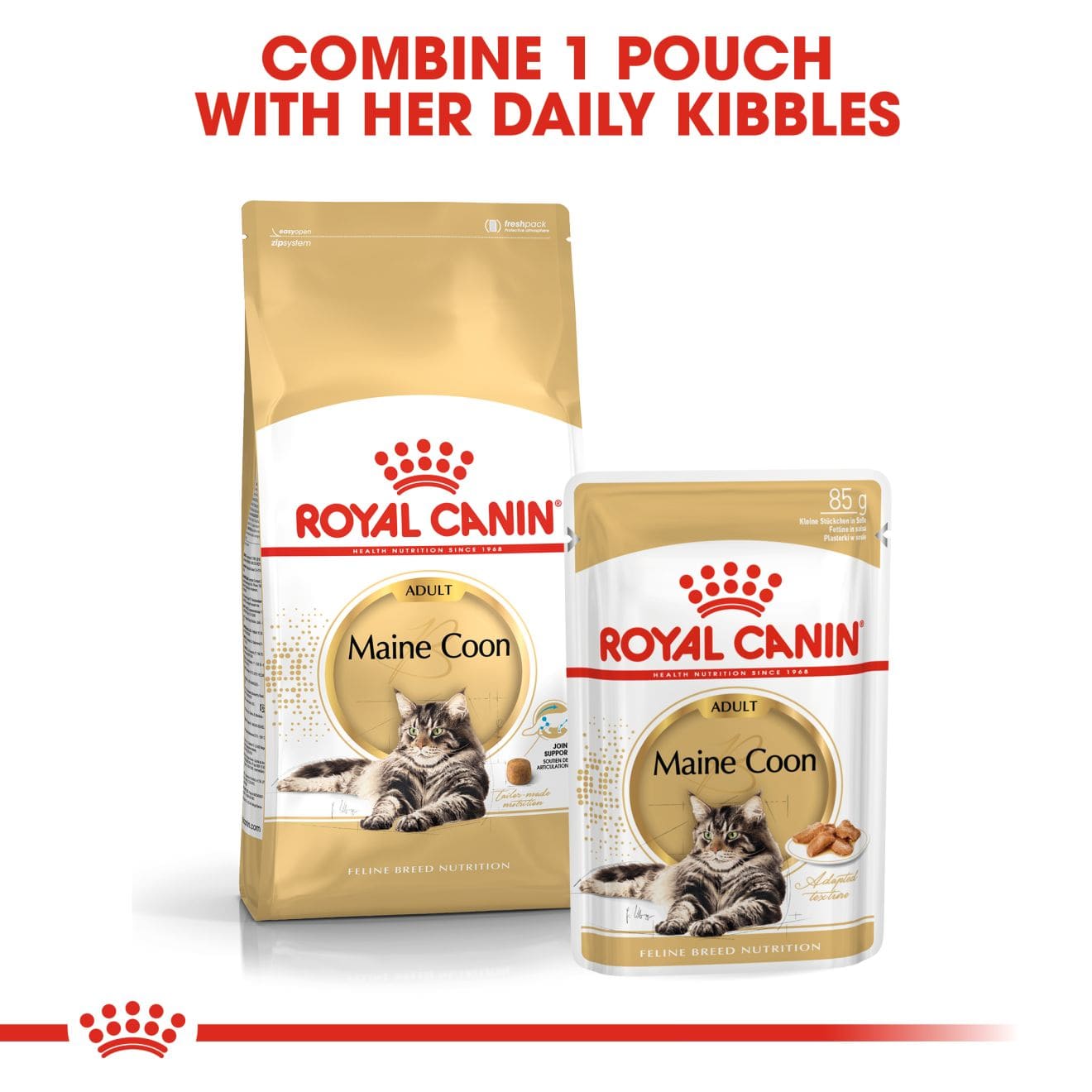 Royal Canin Wet Cat Food Chunks In Gravy for Adult Maine Coon Cats, 85g
