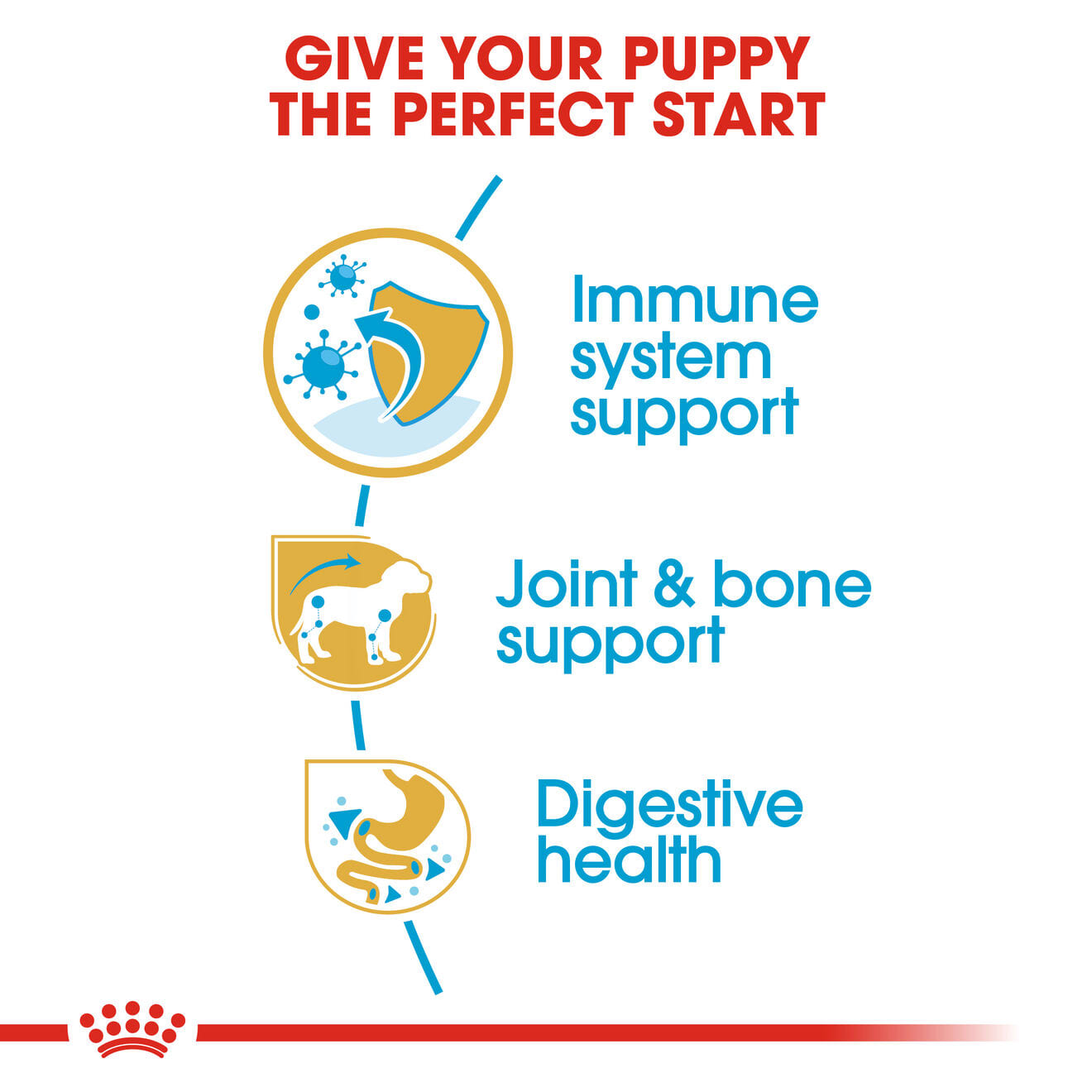 Royal Canin Dry Dog Food for Dachshund Puppies, 1.5kg