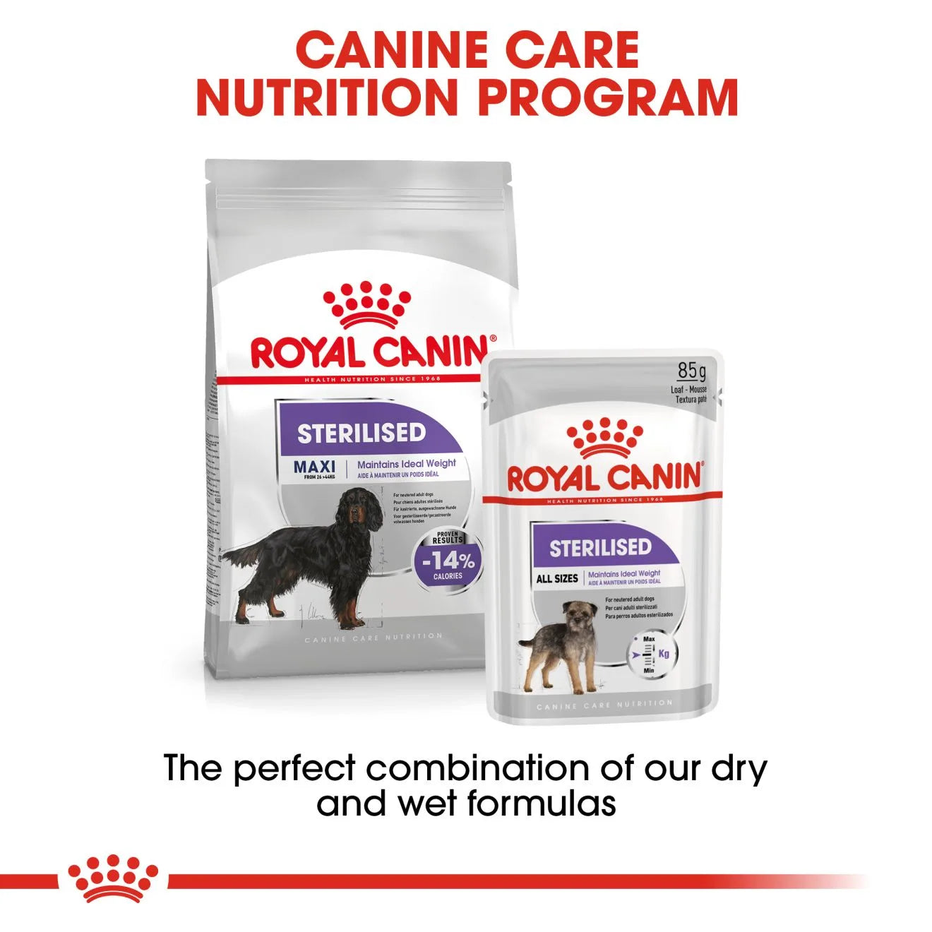 Royal Canin Sterilised Dry Dog Food for Large Breed Adult Dogs, 12kg