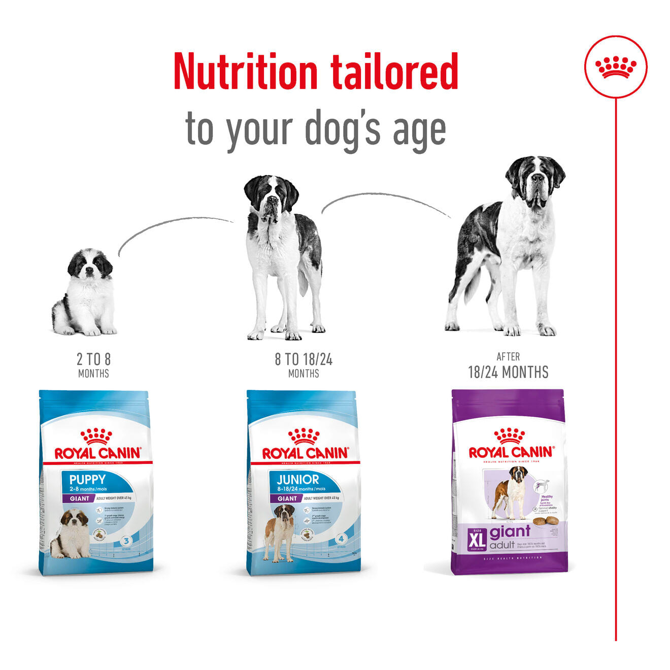 Royal Canin Dry Dog Food for Extra Large Breed Adult Dogs, 15kg