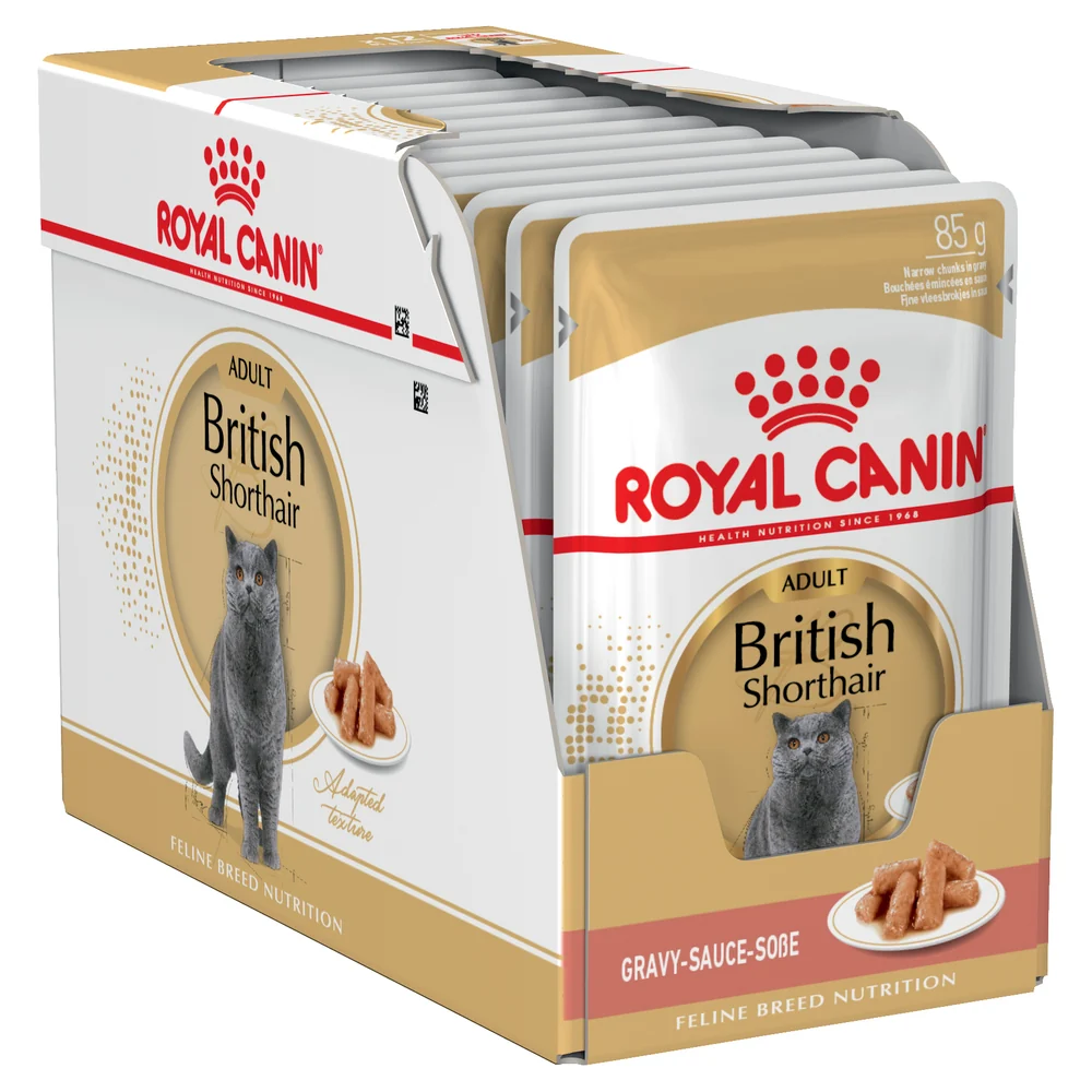 Royal Canin Wet Cat Food Chunks In Gravy for Adult British Shorthair Cats, 85g
