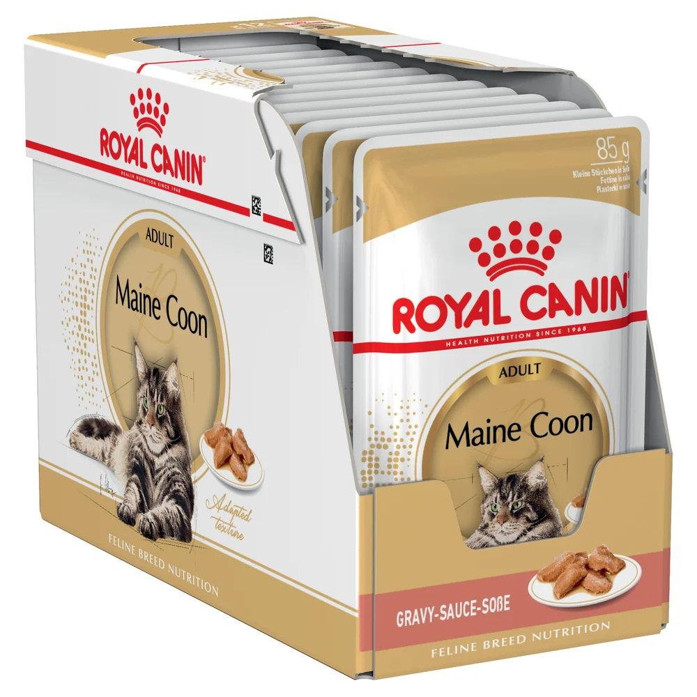 Royal Canin Wet Cat Food Chunks In Gravy for Adult Maine Coon Cats, 85g