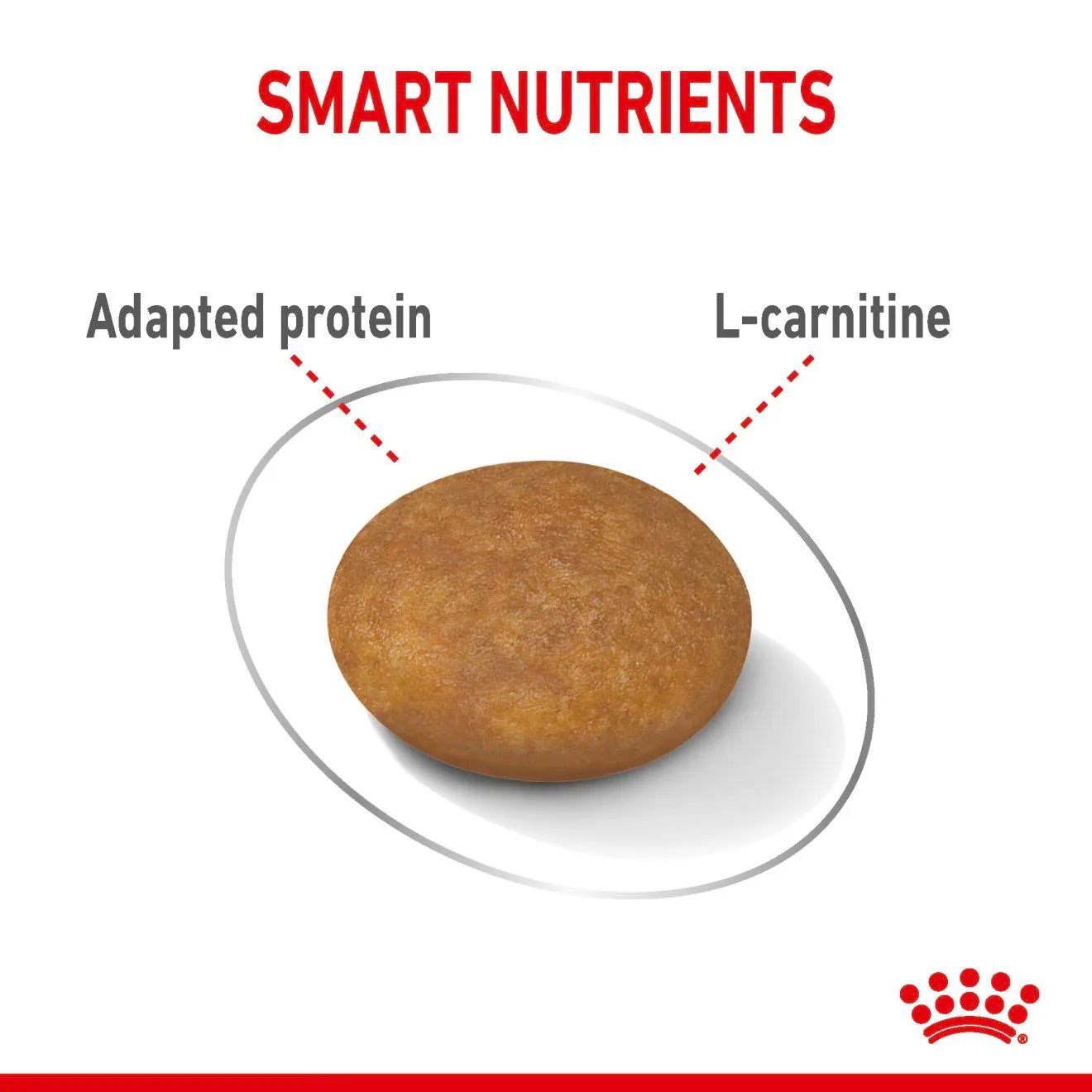 Royal Canin Light Weight Care Dry Dog Food for Extra-Small Breed Adult Dogs, 1.5kg
