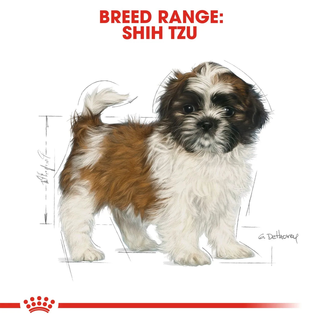 Royal Canin Dry Dog Food for Shih Tzu Puppies, 1.5kg