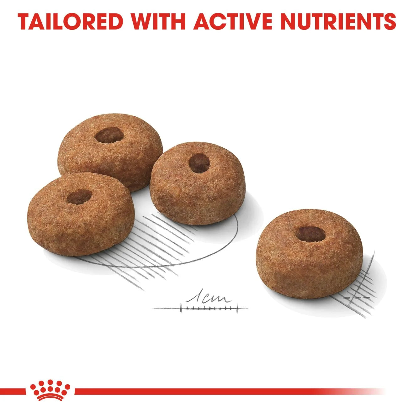 Royal Canin Sterilised Dry Dog Food for Large Breed Adult Dogs, 12kg