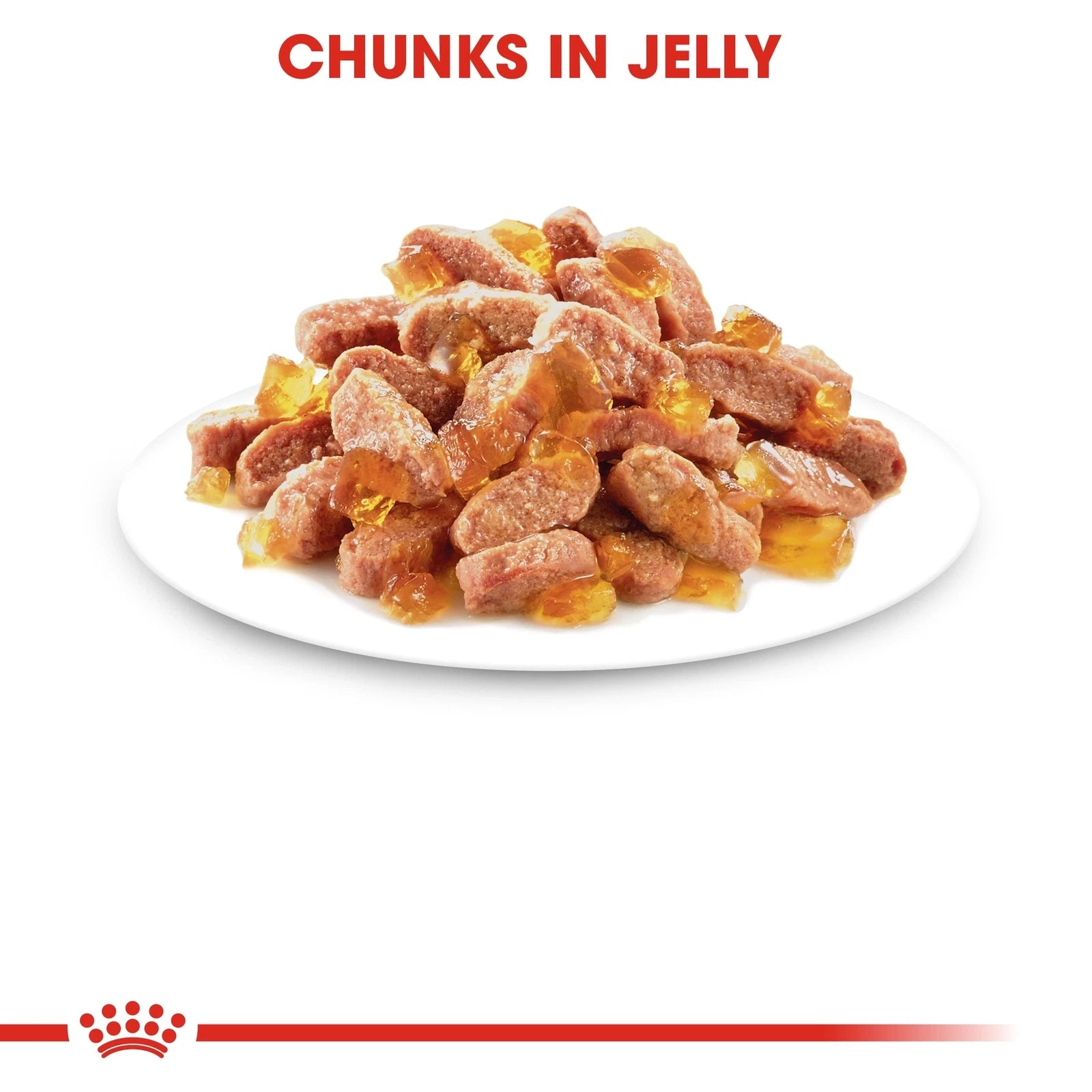 Royal Canin Wet Cat Food Chunks in Jelly for Kittens, 85g