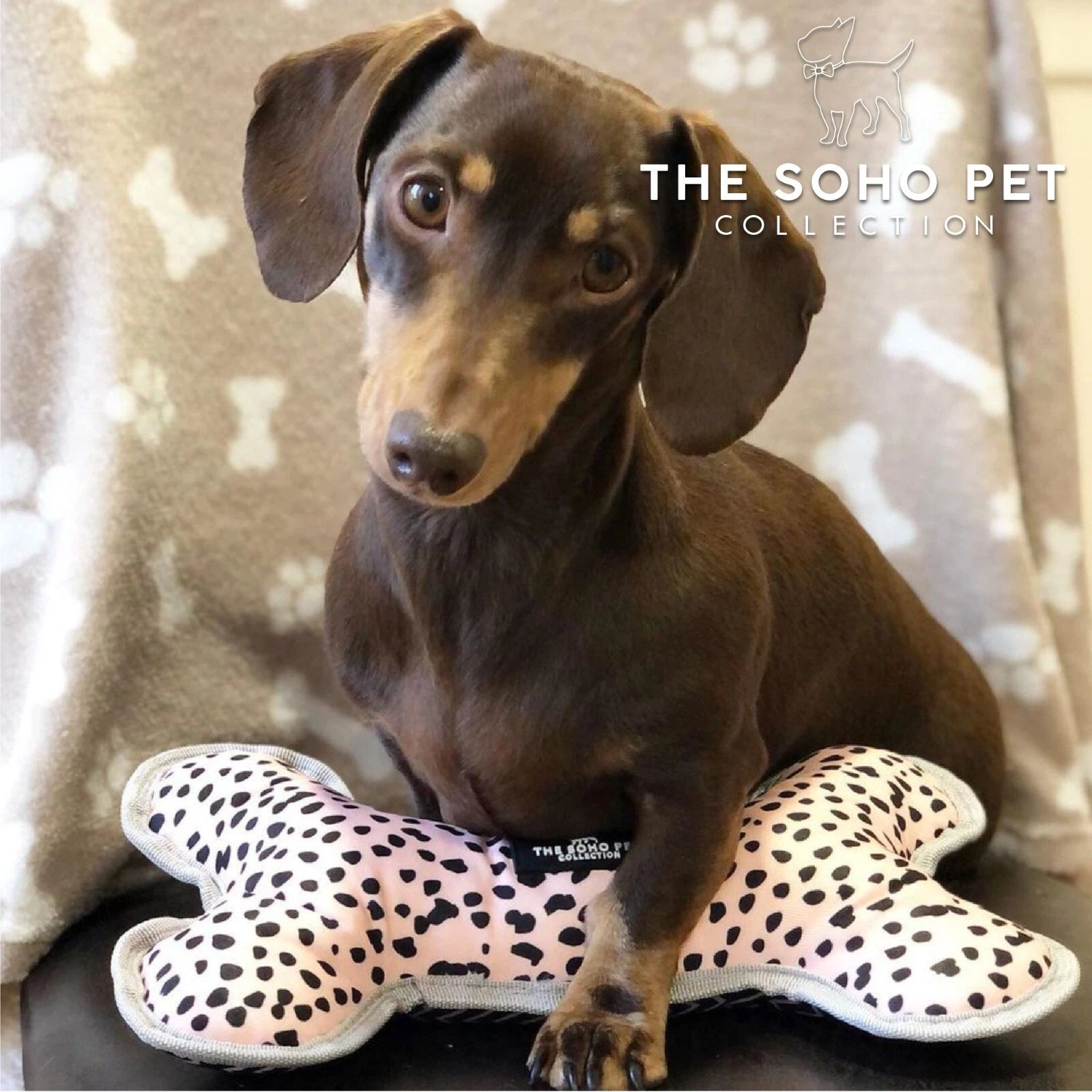 Ancol Soho Dalmation/Zigzag Patterned Reversible Bone Dog Toy