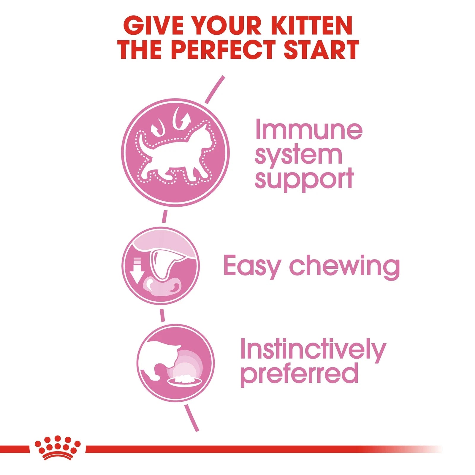 Royal Canin Wet Cat Food Chunks in Jelly for Kittens, 85g