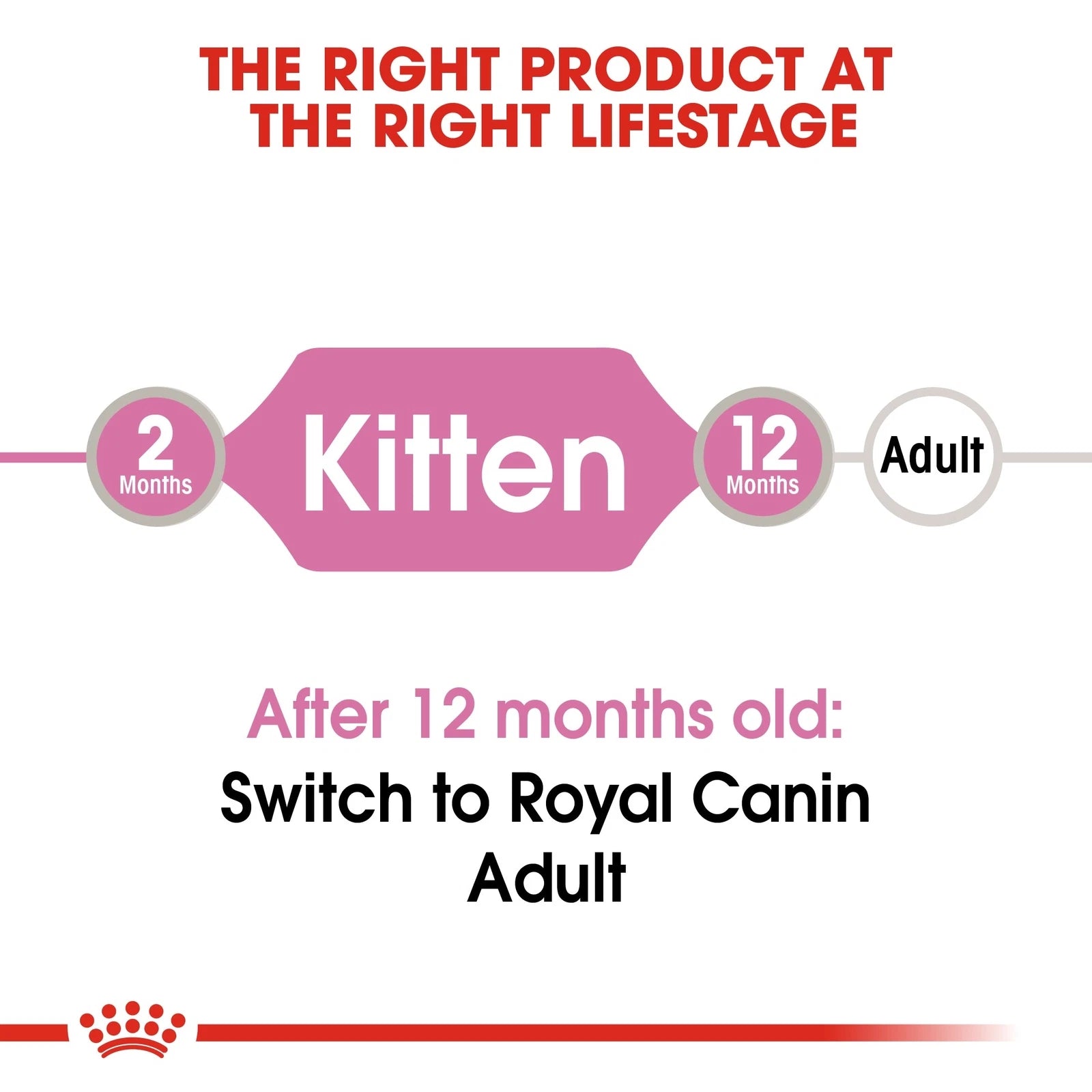 Royal Canin Wet Cat Food Chunks in Jelly for Kittens, 85g