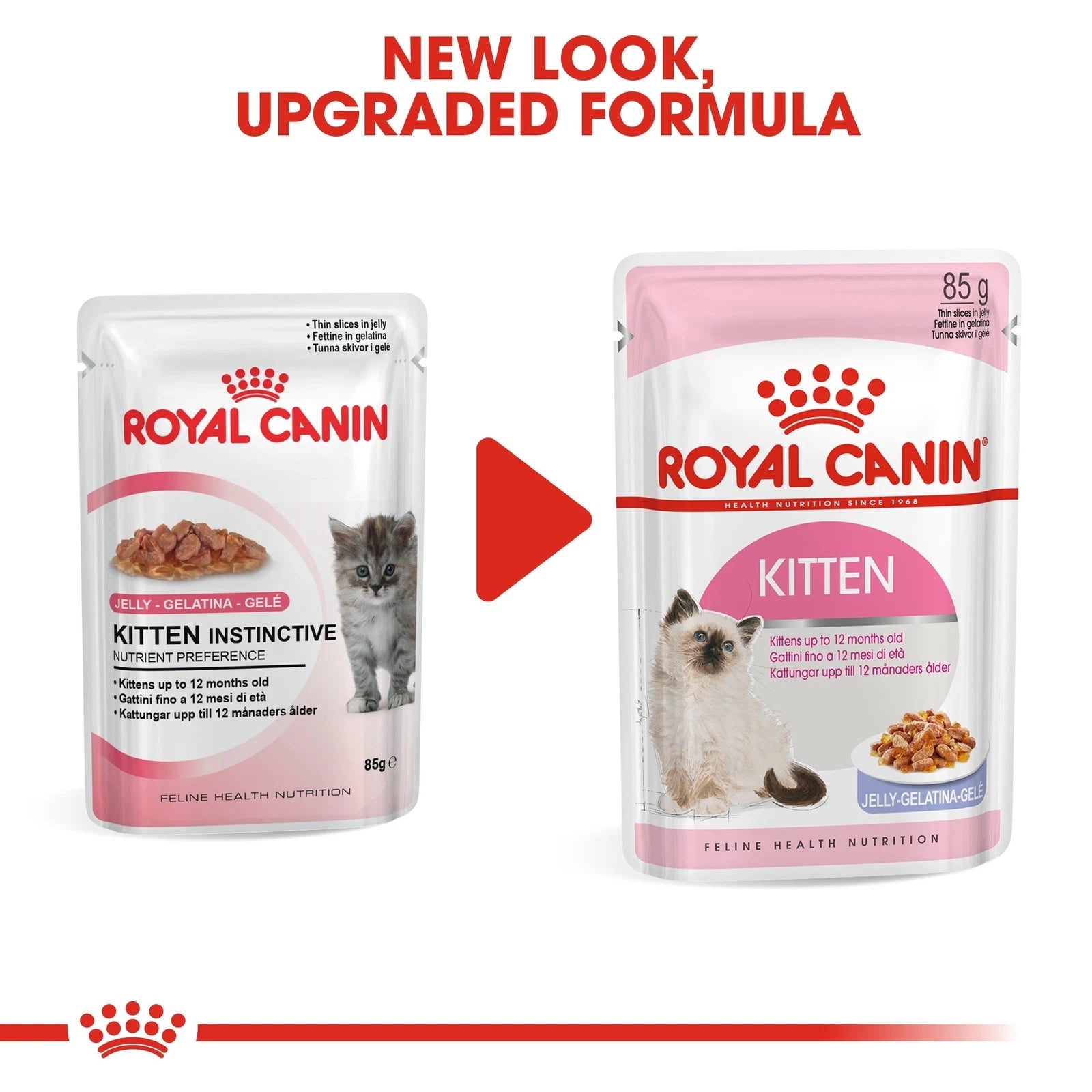 Royal Canin Wet Cat Food Chunks in Jelly for Kittens, 85g