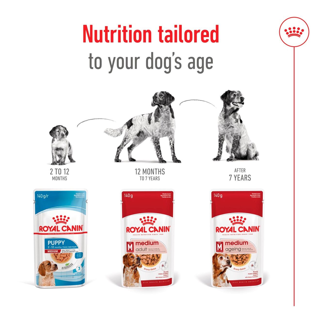Royal Canin Wet Dog Food Chunks In Gravy for Medium Breed Adult Dogs, 140g