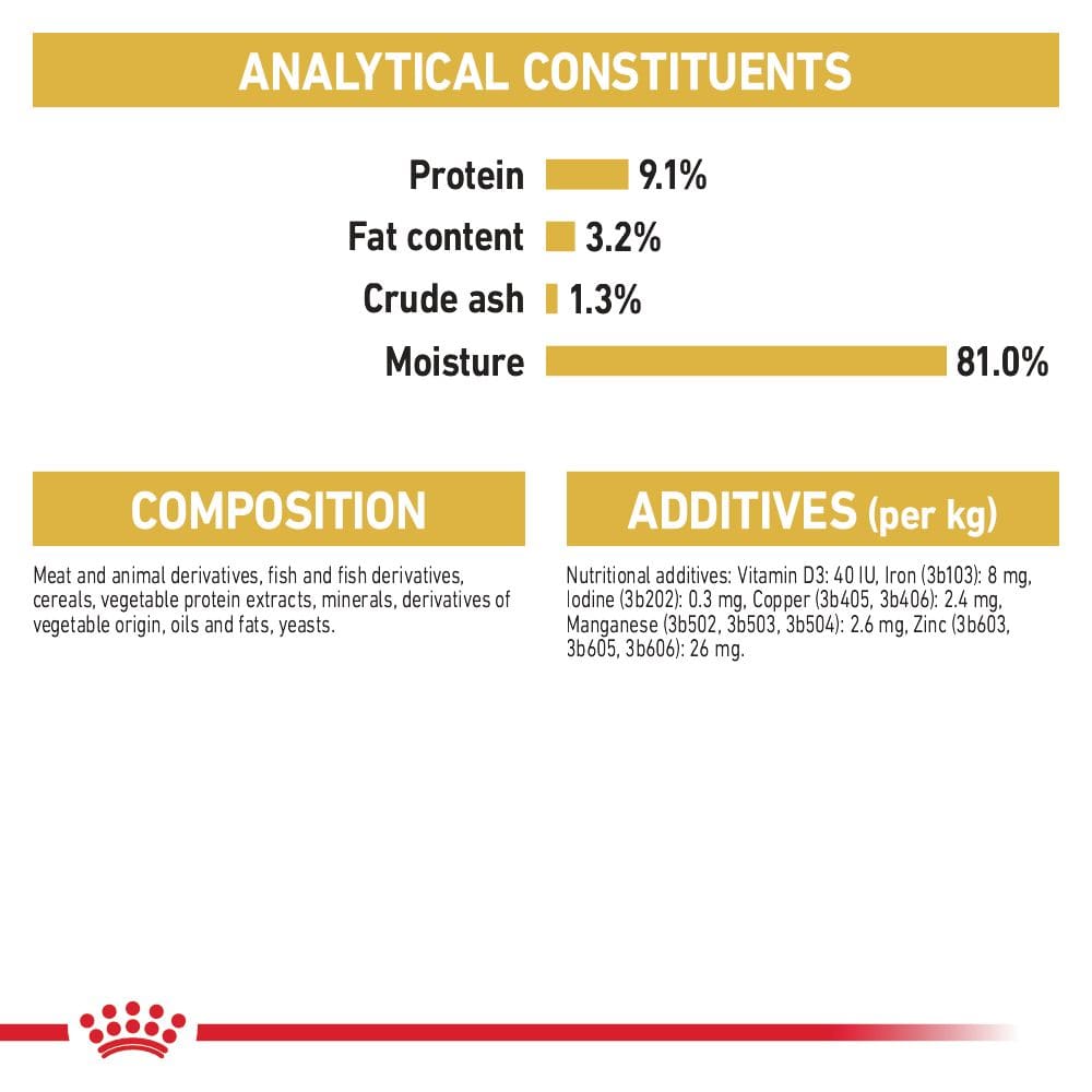 Royal Canin Wet Cat Food Chunks In Gravy for Adult British Shorthair Cats, 85g