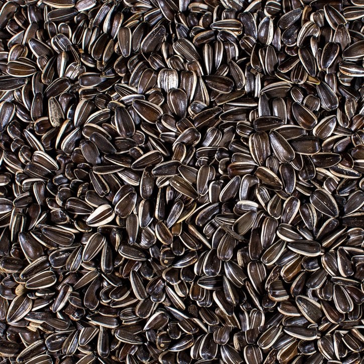 Hadley Striped Sunflower Bird Seed